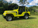 1974 Jeep Renegade