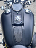 2009 Harley Davidson Softail Night Train