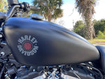 2020 Harley Davidson Iron 883 with Stage 4 Conversion 1200