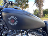 2020 Harley Davidson Iron 883 with Stage 4 Conversion 1200